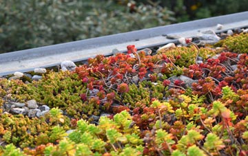the cost of Guith green roof installation