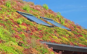 Guith living roof systems