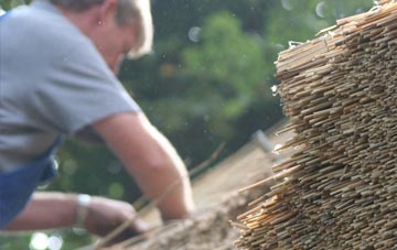 professional Guith thatchers